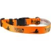 Scheels Outfitters Scheels Outfitter Custom Dog Collar Orange