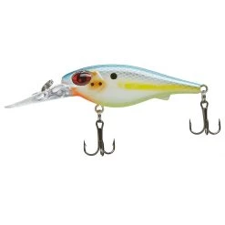 Scheels Outfitters FatEye Shad Hot Tiger