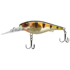 Scheels Outfitters FatEye Shad Hot Tiger 19 Scheels Outfitters FatEye Shad Hot Tiger -Scheels Outfitters shop unnamed file 753