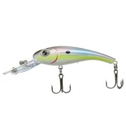 Scheels Outfitters FatEye Tournament Crank Glass Citrus Shad -Scheels Outfitters shop unnamed file 849
