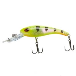 Scheels Outfitters FatEye Tournament Crank Glass Citrus Shad -Scheels Outfitters shop unnamed file 851