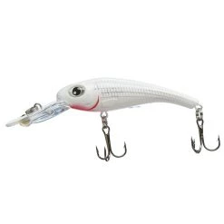 Scheels Outfitters FatEye Tournament Crank Glass Citrus Shad -Scheels Outfitters shop unnamed file 853
